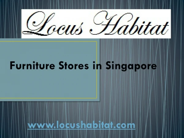 Furniture Leather Singapore - locushabitat.com