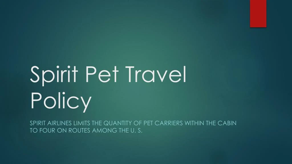 spirit pet travel policy