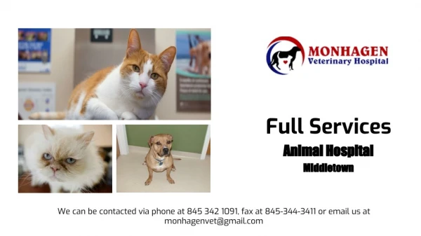 Full-Services Animal Hospital In Middletown