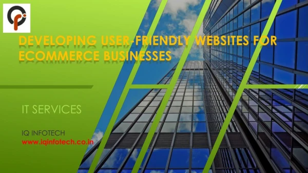 Developing User-Friendly Websites for Ecommerce Businesses