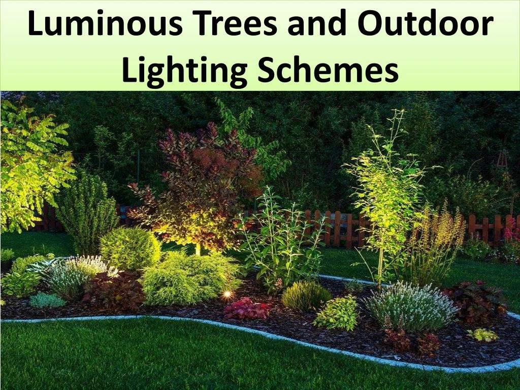 luminous trees and outdoor lighting schemes