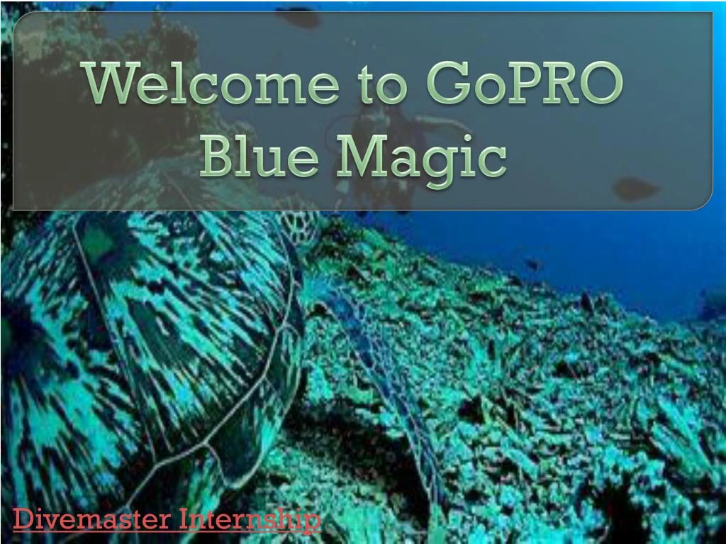 welcome to gopro blue magic