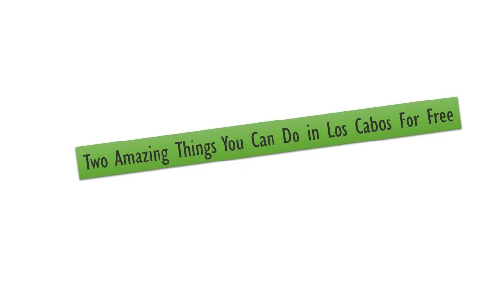 two amazing things you can do in los cabos