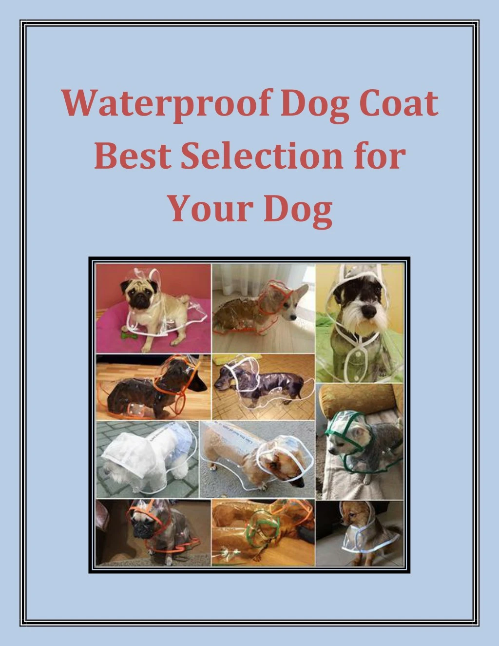 waterproof dog coat best selection for your dog