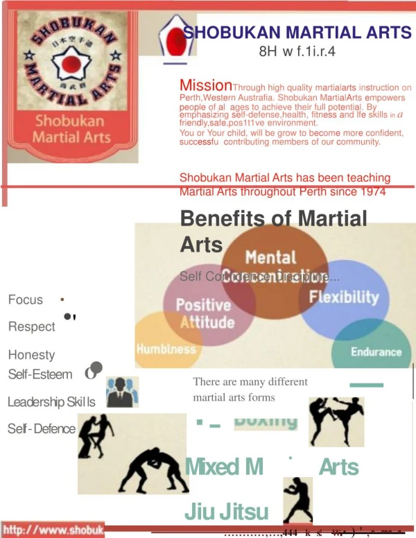 Martial Arts Perth for Kids and Adults - Shobukan Martial Arts