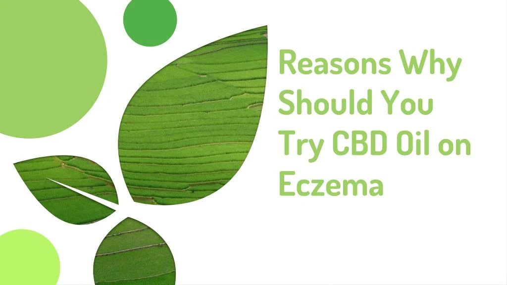 reasons why should you try cbd oil on eczema