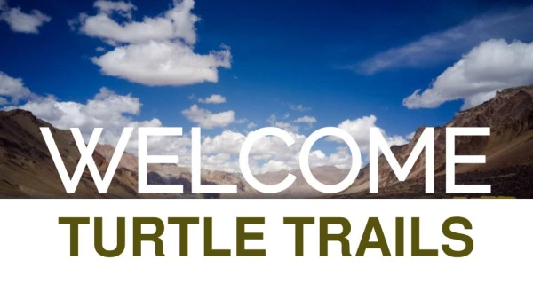 Yoga and Meditation | Turtle Trails