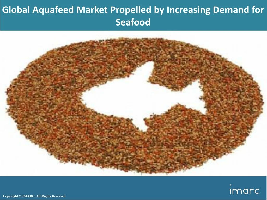 global aquafeed market propelled by increasing