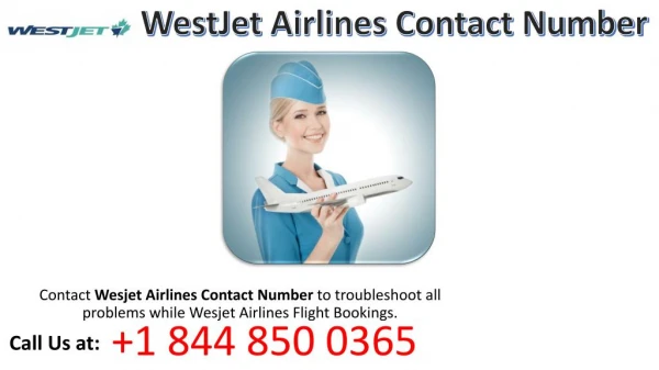Get Animate Customer Service at WestJet Airlines