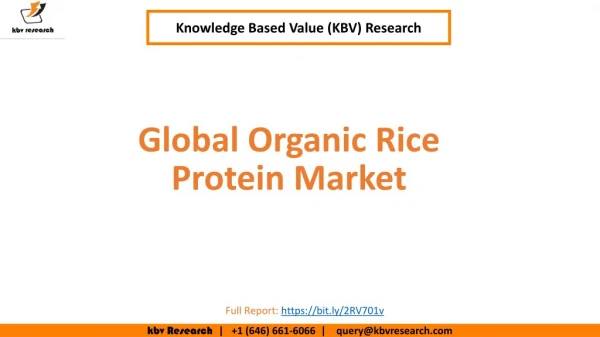 Global Organic Rice Protein Market