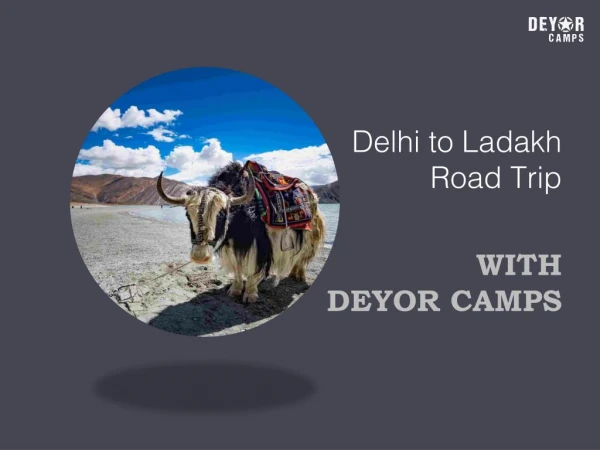 Delhi to Ladakh Road Trip With Deyor Camps
