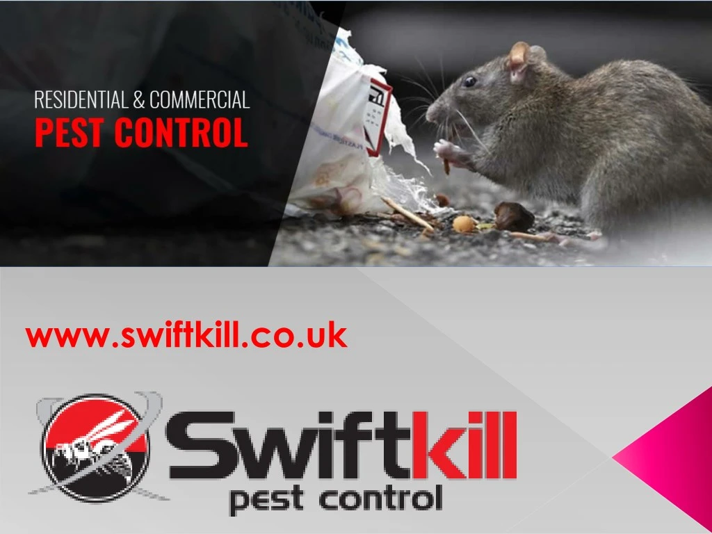 www swiftkill co uk