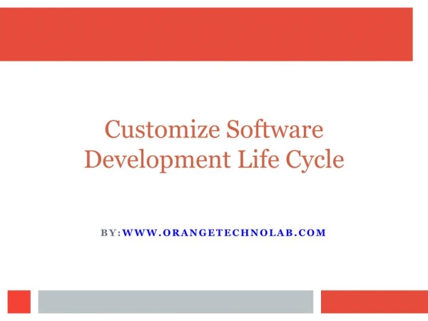 Customize Software Development Life Cycle