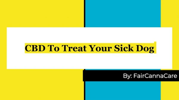 CBD To Treat Your Sick Dog