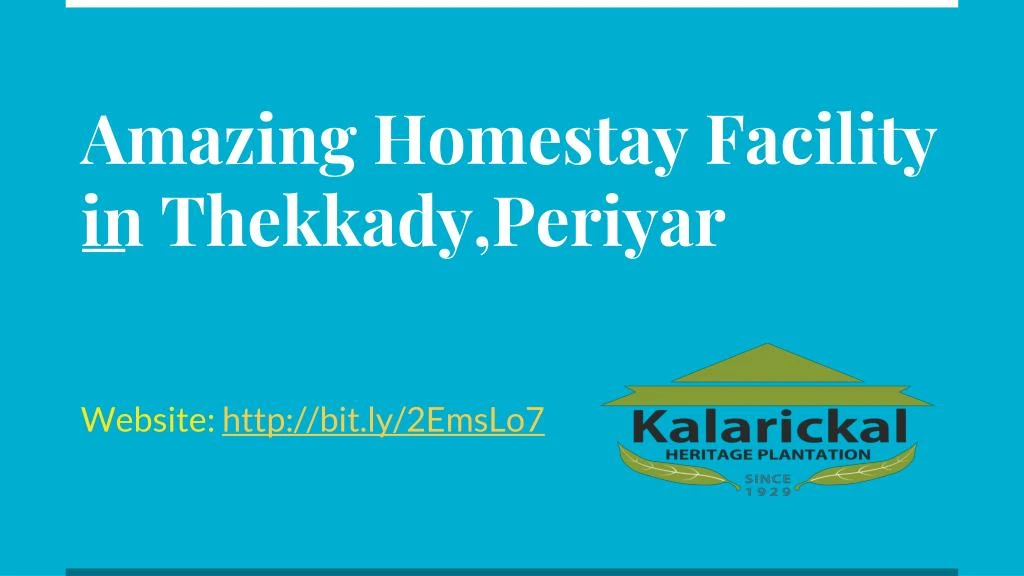 amazing homestay facility in thekkady periyar