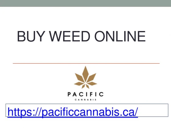 Buy Weed Online - pacificcannabis.ca