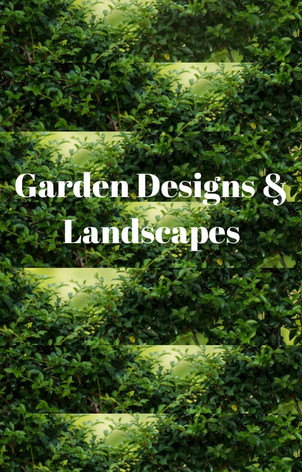 Fresh New Landscaping Ideas for Your Garden