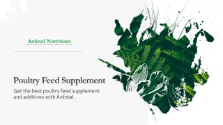 Poultry Feed Supplements - slide 1