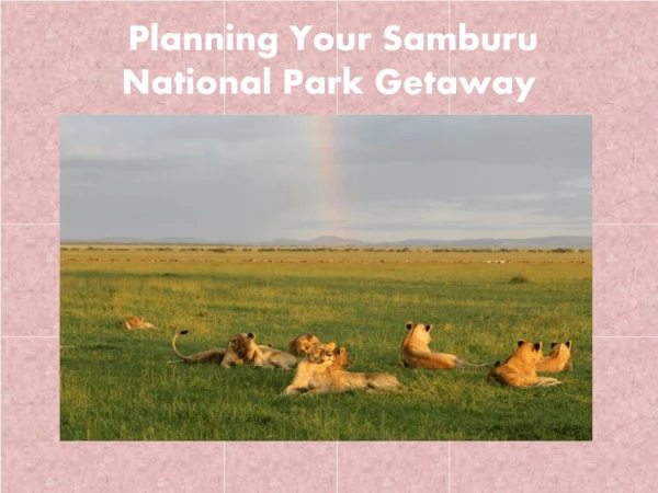 Planning Your Samburu National Park Getaway