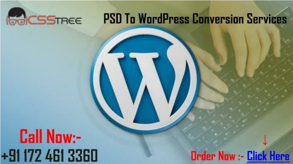 PSD To WordPress Conversion Services