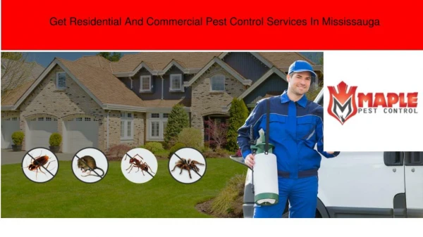 Pest Control Mississauga