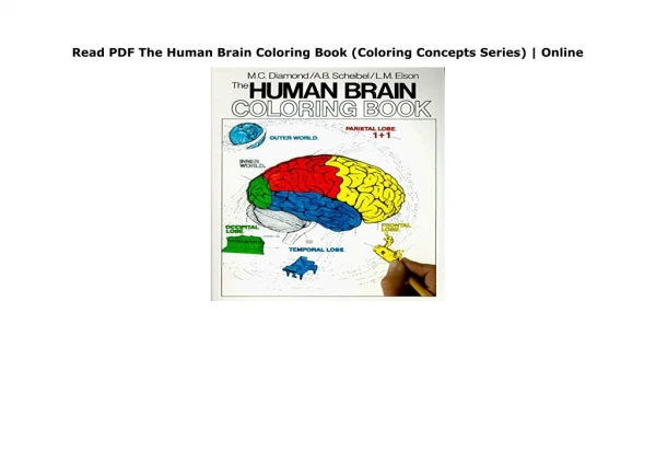 Read book online The-Human-Brain-Coloring-Book-Coloring-Concepts-Series