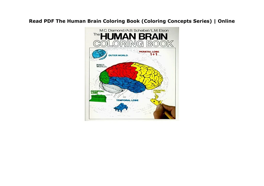 online pdf the human brain coloring book coloring