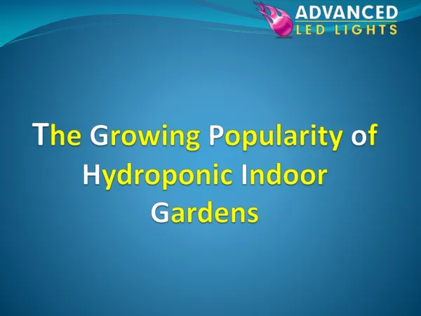 The Growing Popularity of Hydroponic Indoor Gardens
