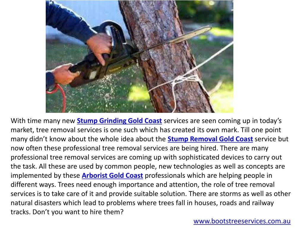with time many new stump grinding gold coast