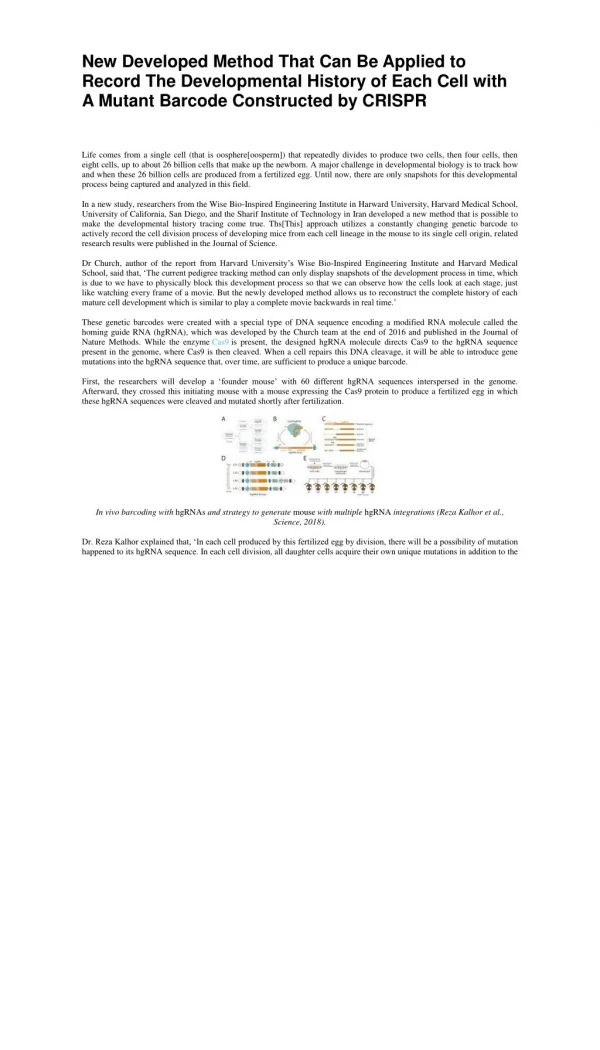 New Developed Method That Can Be Applied to Record The Developmental History of Each Cell with A Mutant Barcode Construc