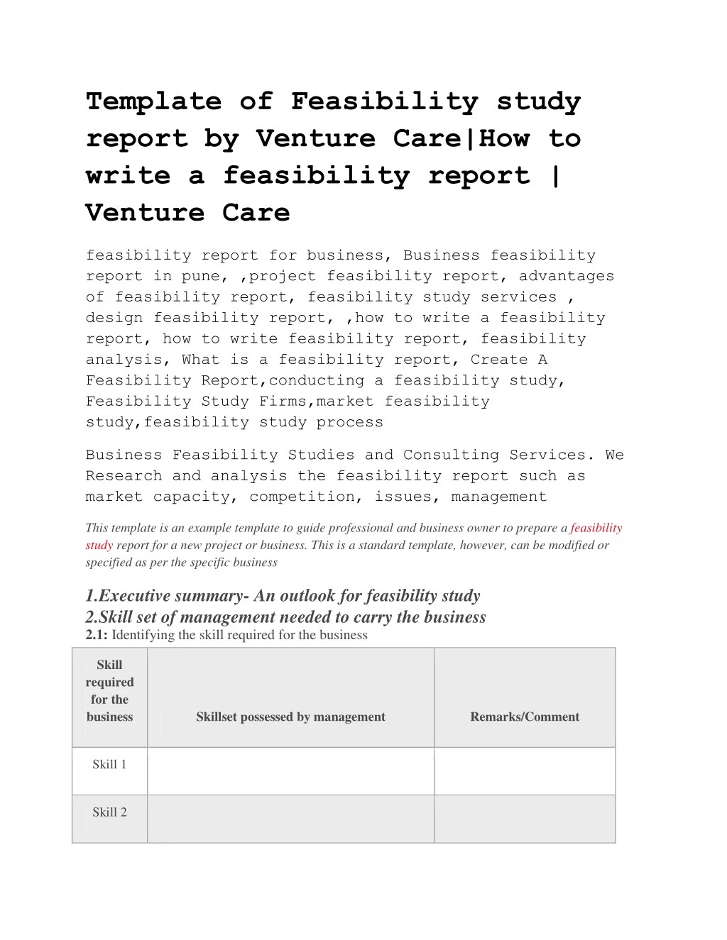 template of feasibility study report by venture