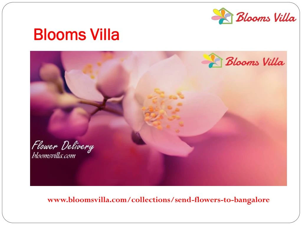 blooms villa
