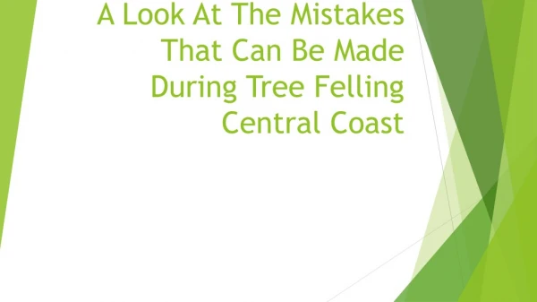 A Look At The Mistakes That Can Be Made During Tree Felling Central Coast