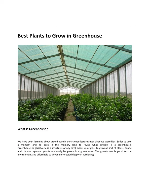 Best Plants to Grow in Greenhouse