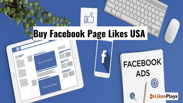 Buy Facebook Page Likes USA