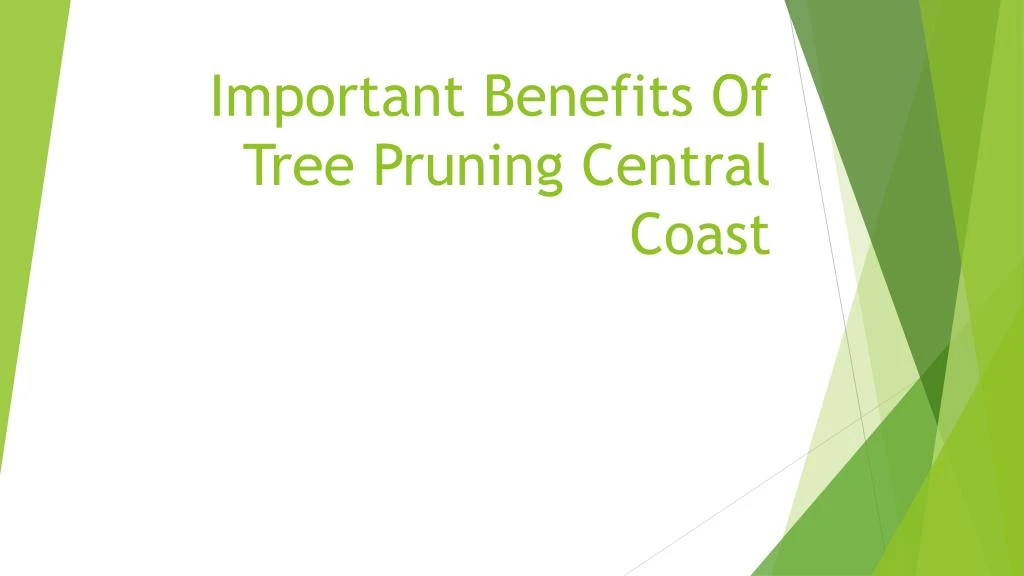 important benefits of tree pruning central coast