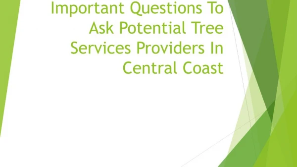 Important Questions To Ask Potential Tree Services Providers In Central Coast