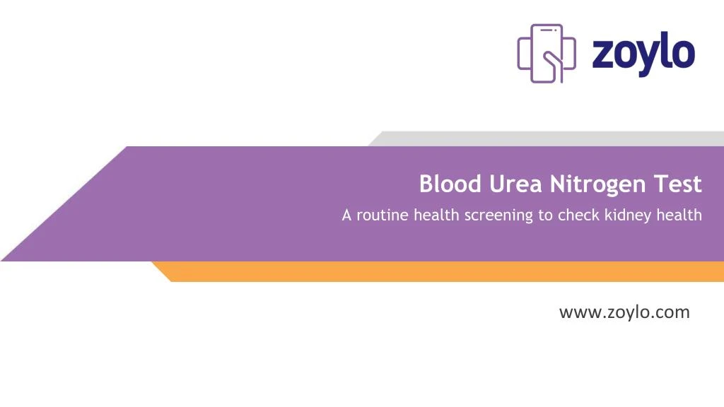 blood urea nitrogen test