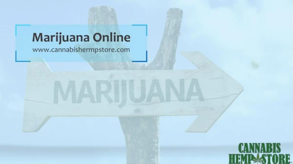 Online Dispensary USA | Marijuana for Sale - Cannabis Hemp Store
