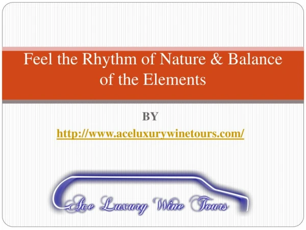 Feel the Rhythm of Nature & Balance of the Elements