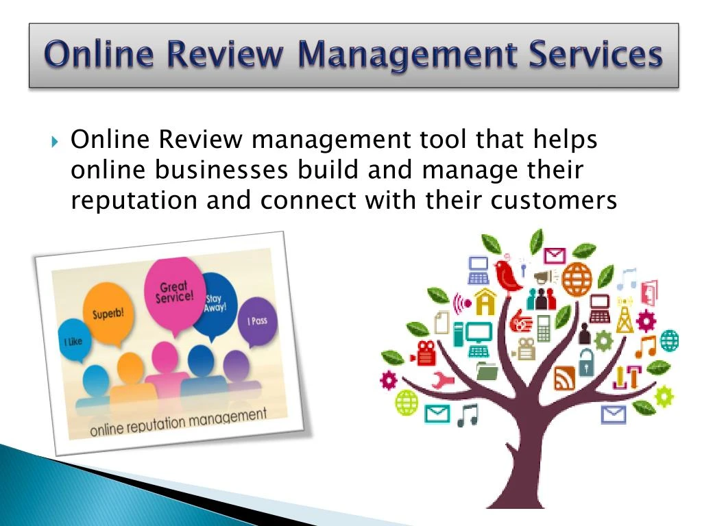 online review management services