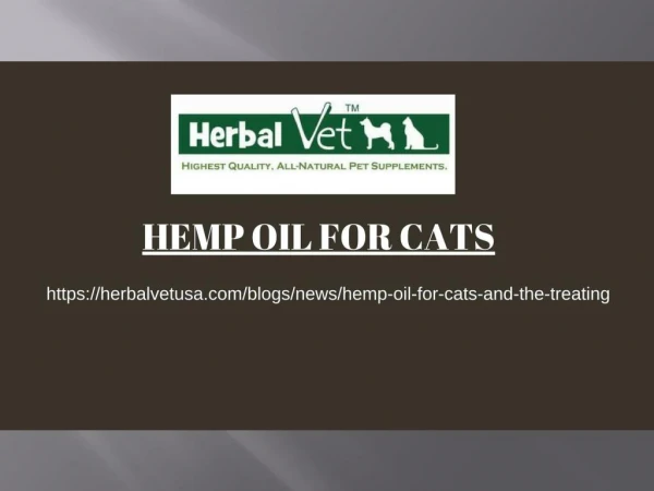 Hemp oil for cats