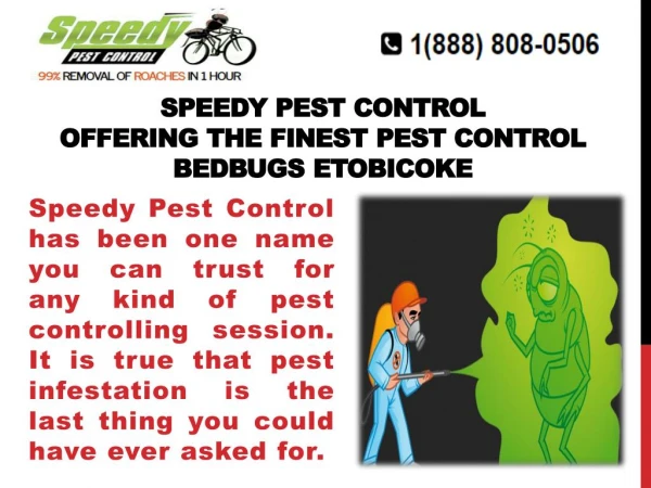 Speedy Pest Control: Offering The Finest Pest Control Services