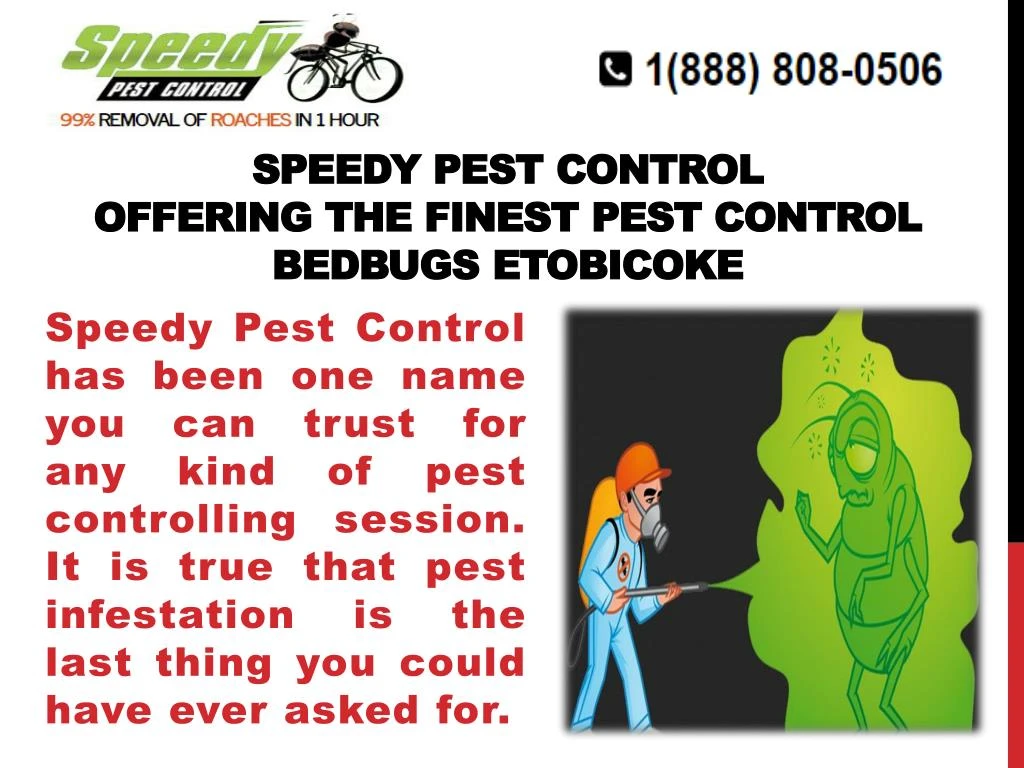 speedy pest control offering the finest pest control bedbugs etobicoke