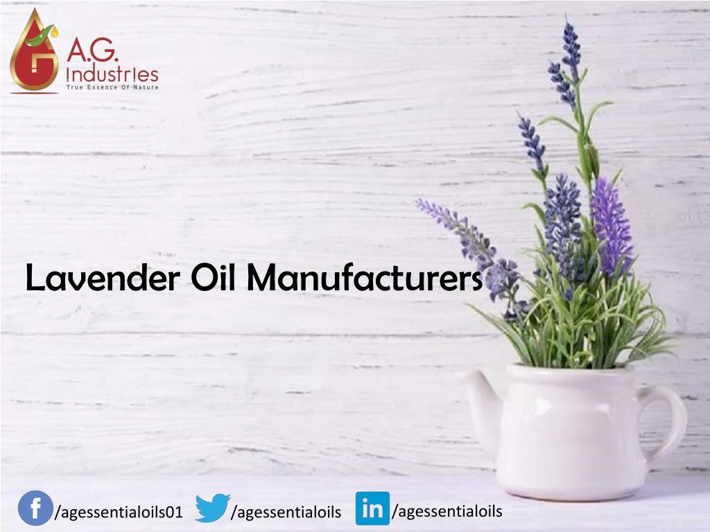 lavender oil manufacturers