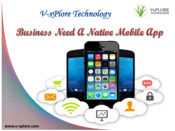 Business Need A Native Mobile App