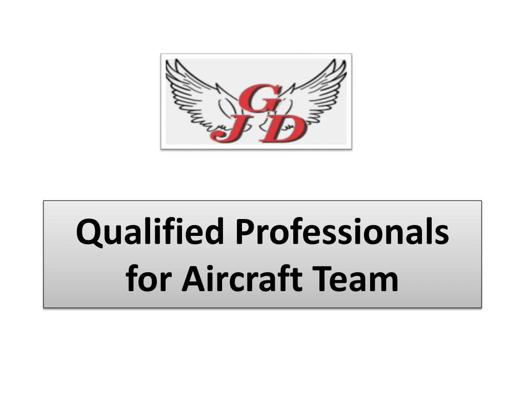 qualified professionals for aircraft team