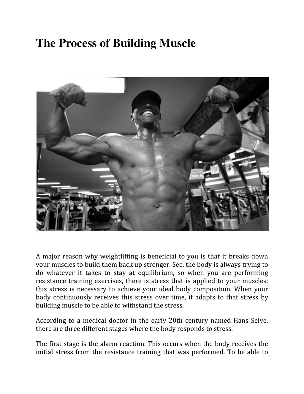 the process of building muscle