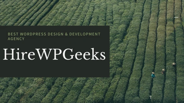 Wordpress design and development services