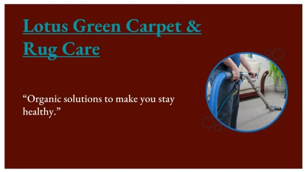 Carpet Cleaning DC | Lotus Green Carpet & Rug Care